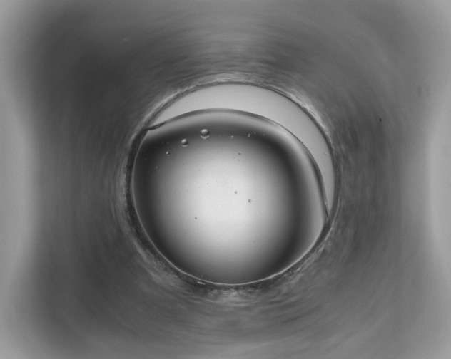 X0000111880297200907301142