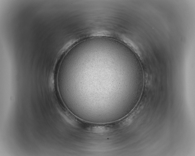 X0000111880298200907301142