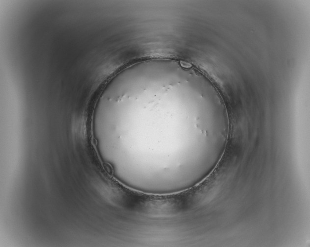 X0000111880299200907301142