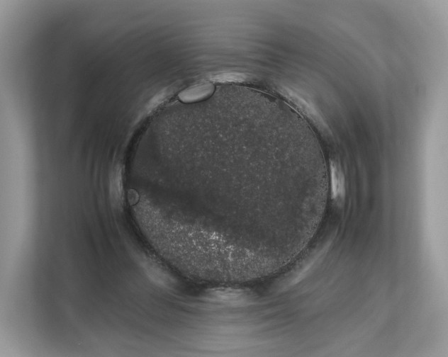 X0000111880300200907301142