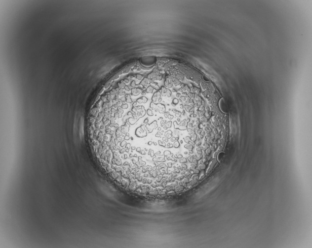 X0000111880301200907301142