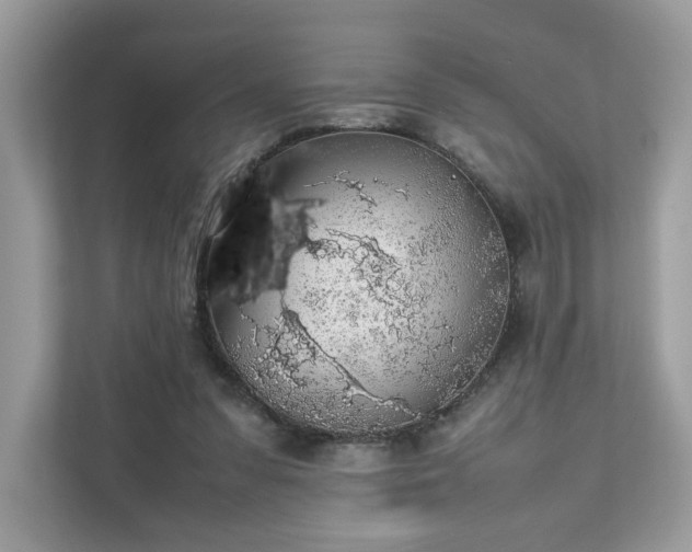 X0000111880303200907301142