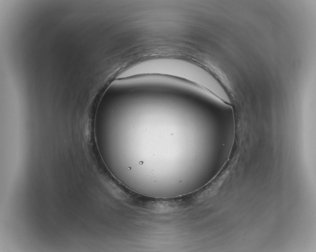 X0000111880305200907301142