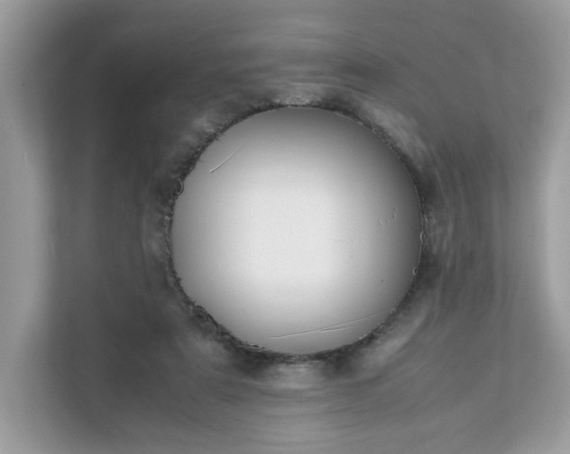 X0000111880307200907301142