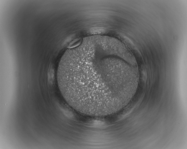 X0000111880308200907301142