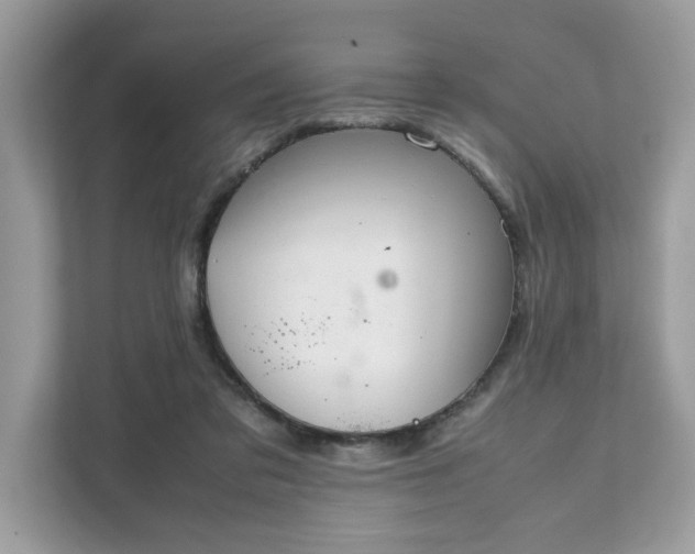 X0000111880309200907301142