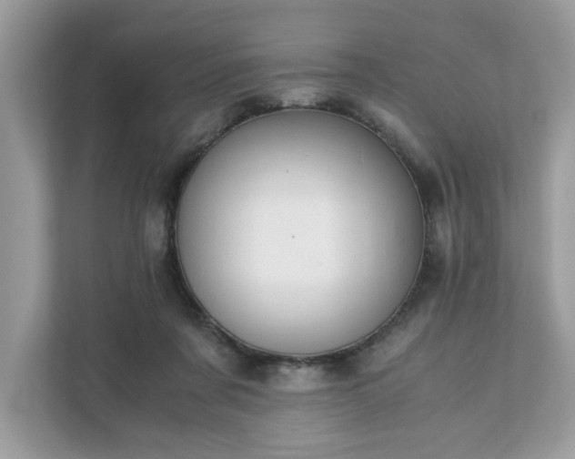 X0000111880311200907301142