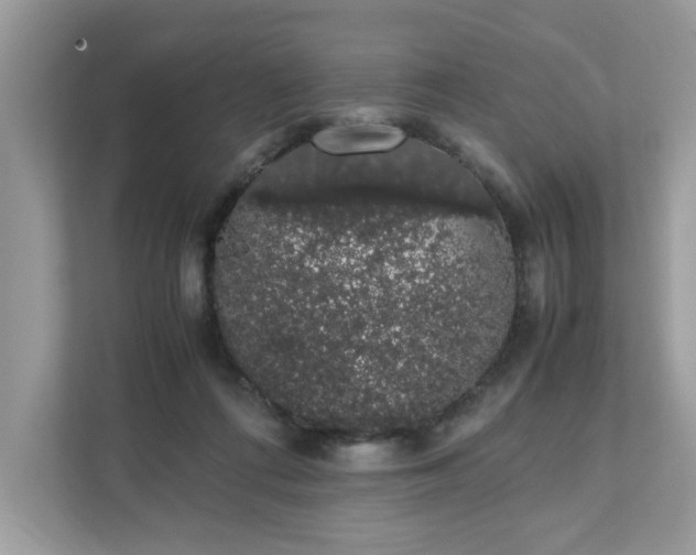 X0000111880312200907301142
