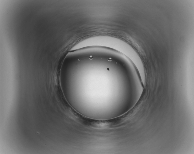X0000111880313200907301142