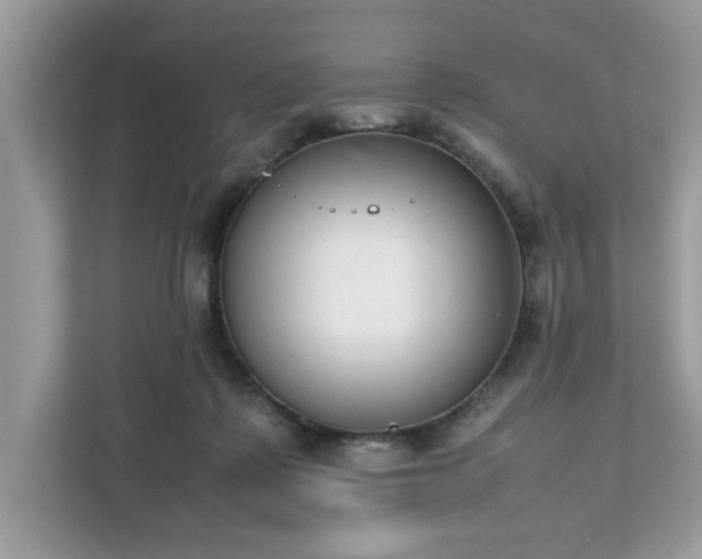 X0000111880315200907301142