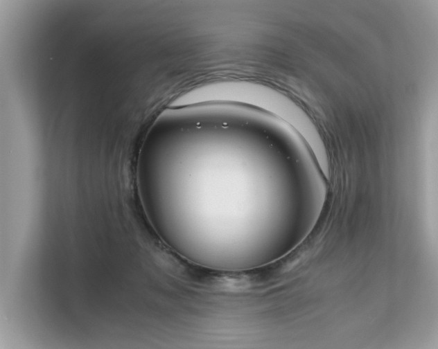 X0000111880317200907301142