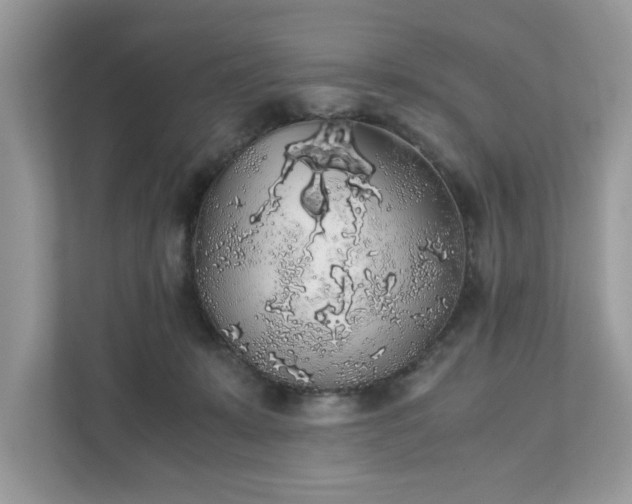 X0000111880319200907301142