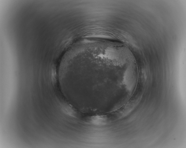X0000111880320200907301142
