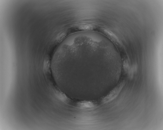 X0000111880322200907301142
