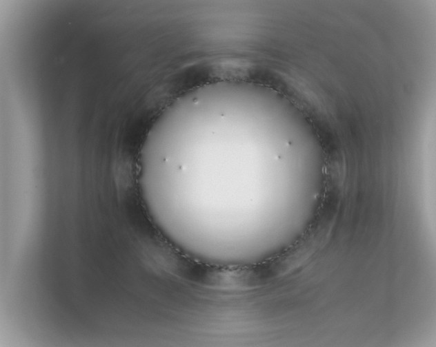 X0000111880323200907301142