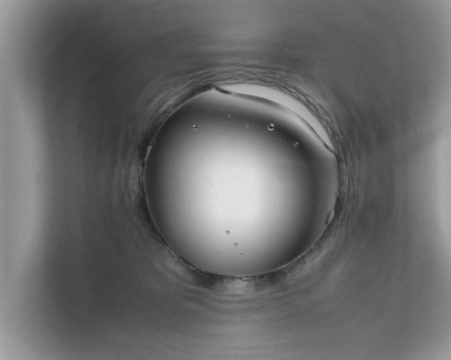 X0000111880325200907301142