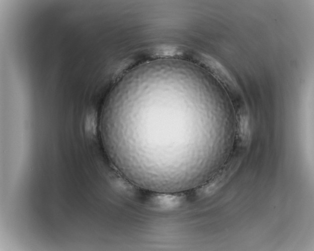 X0000111880326200907301142