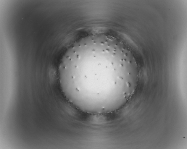 X0000111880327200907301142