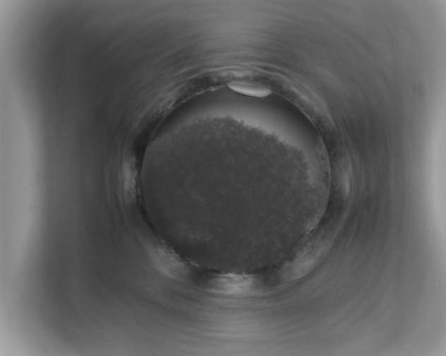 X0000111880328200907301142