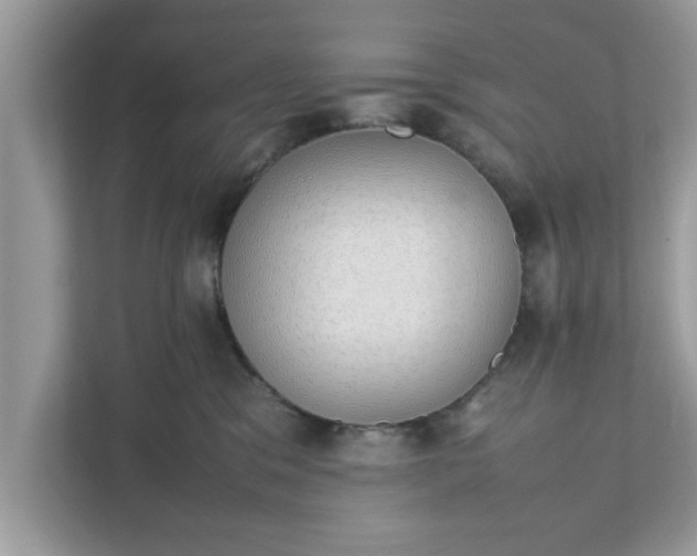 X0000111880329200907301142