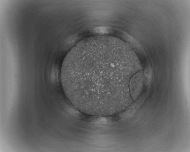 X0000111880330200907301142