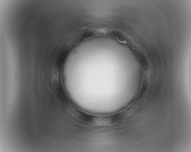X0000111880331200907301142
