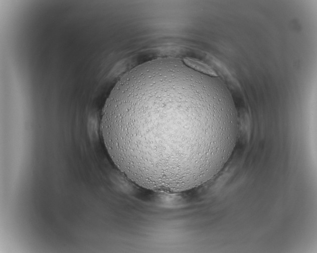 X0000111880333200907301142