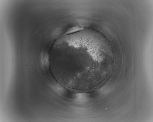 X0000111880336200907301142