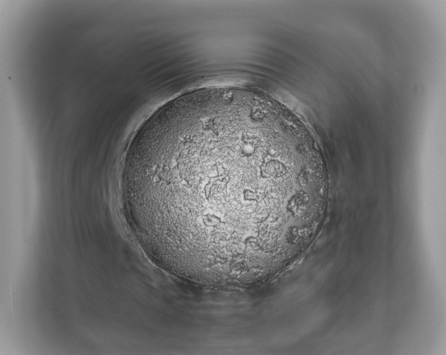 X0000111880337200907301141