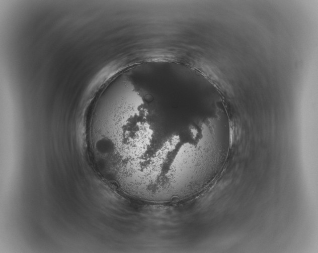 X0000111880339200907301141
