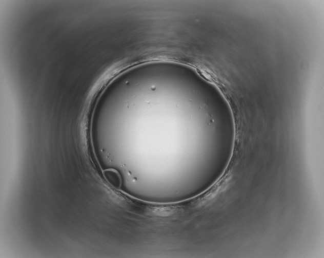 X0000111880341200907301141