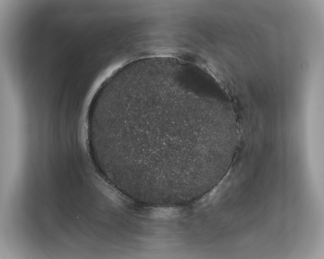 X0000111880342200907301141