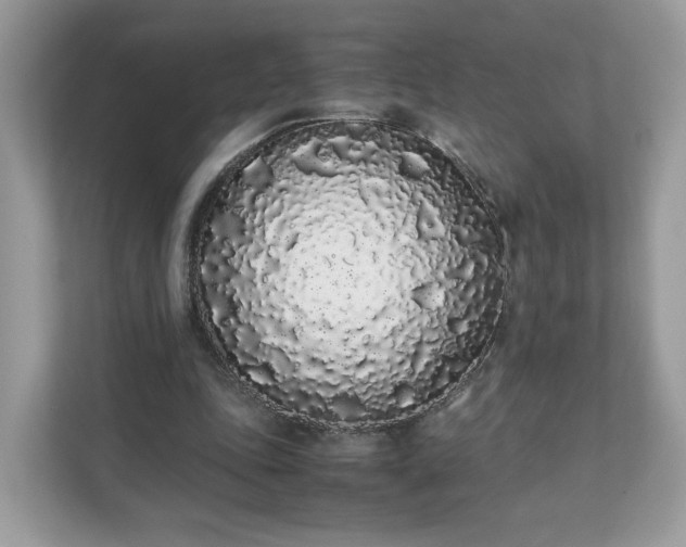 X0000111880343200907301141