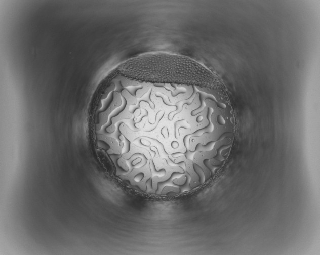 X0000111880344200907301141