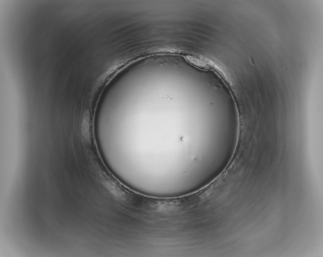 X0000111880345200907301141