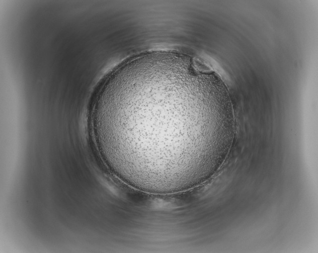 X0000111880346200907301141