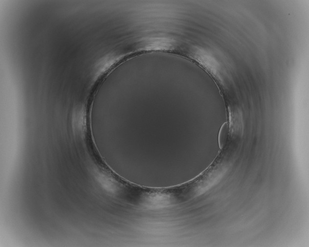 X0000111880348200907301141