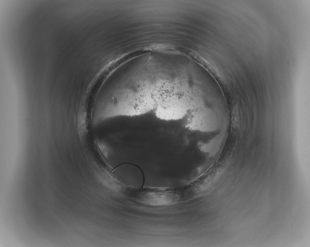 X0000111880351200907301141