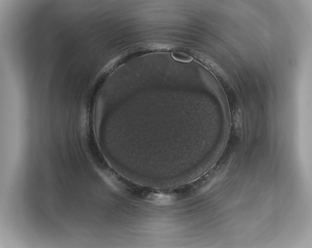 X0000111880352200907301141