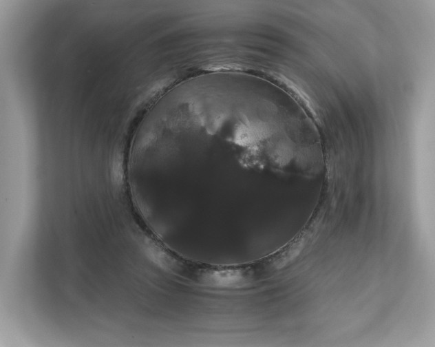 X0000111880353200907301141