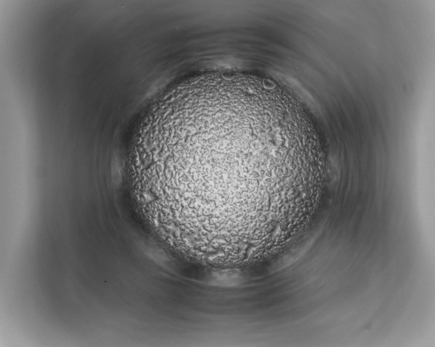 X0000111880355200907301142