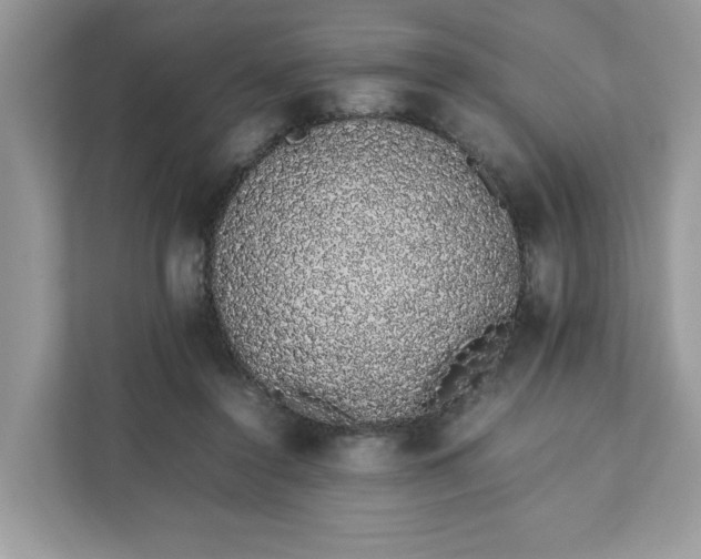 X0000111880356200907301142
