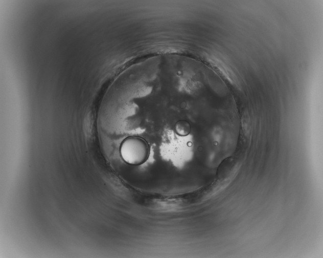 X0000111880359200907301142