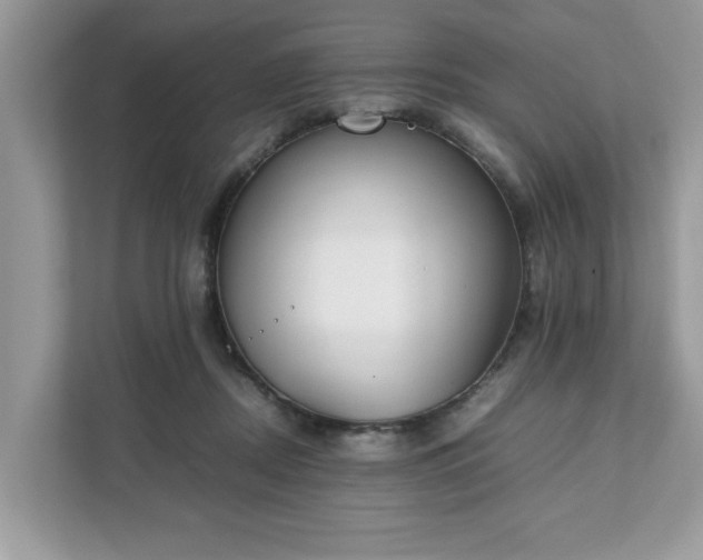 X0000111880362200907301142