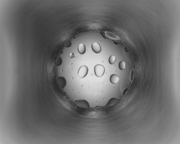 X0000111880364200907301142