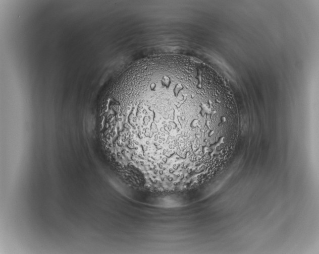 X0000111880365200907301142