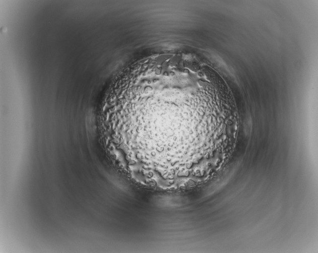 X0000111880366200907301142