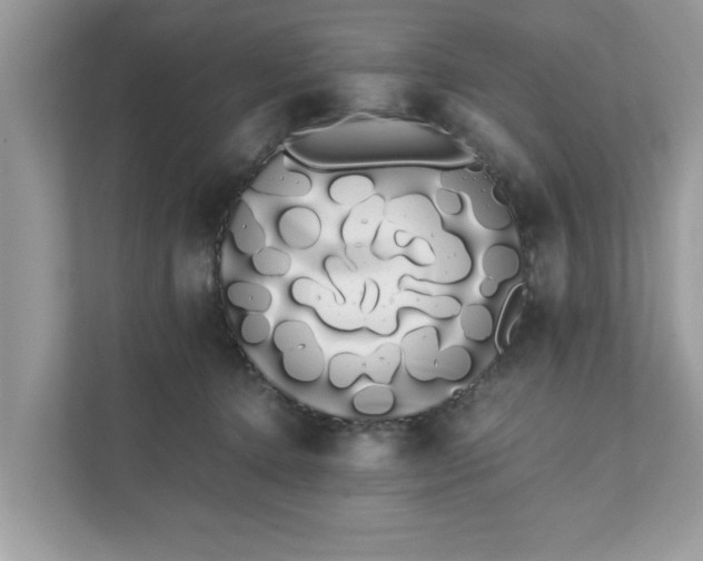 X0000111880368200907301142