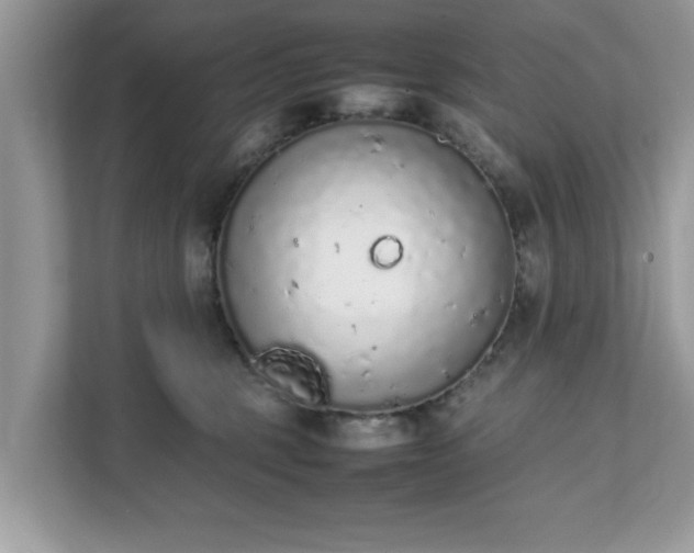 X0000111880375200907301142
