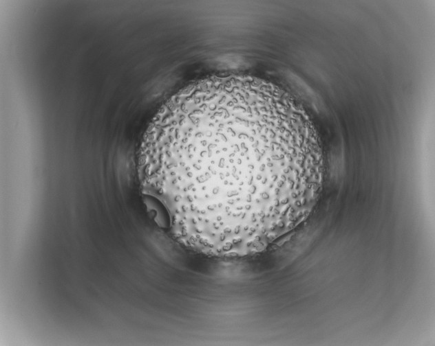 X0000111880376200907301142